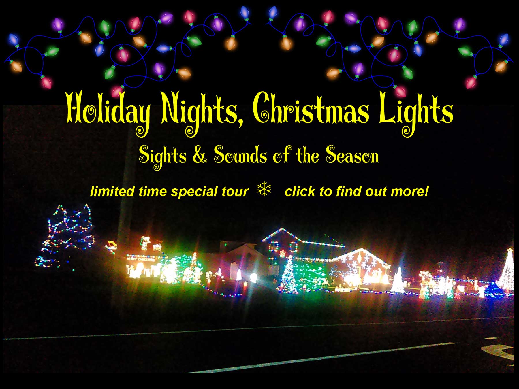 Rochester Christmas Lights Tour